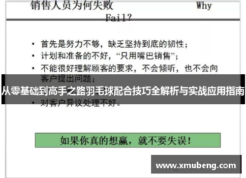 从零基础到高手之路羽毛球配合技巧全解析与实战应用指南