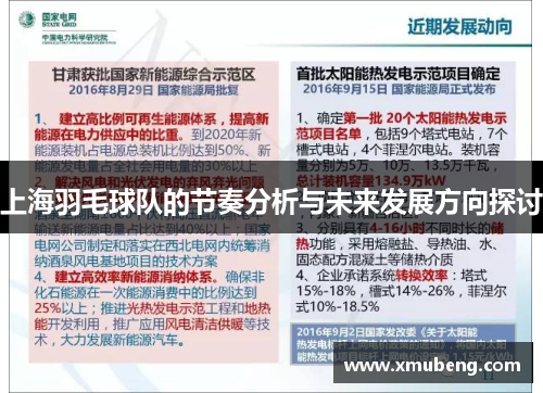 上海羽毛球队的节奏分析与未来发展方向探讨