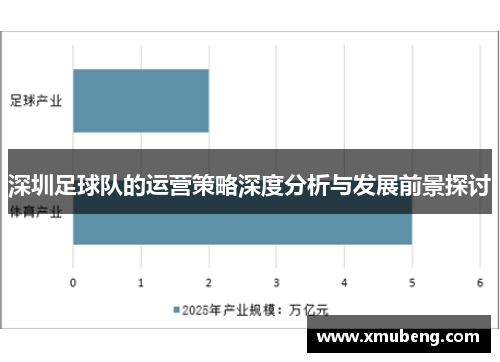 深圳足球队的运营策略深度分析与发展前景探讨