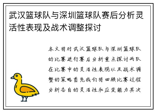 武汉篮球队与深圳篮球队赛后分析灵活性表现及战术调整探讨